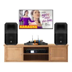  Dàn karaoke gia đình KGD91 (Electro voice Eviva 12P) 