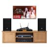 Dàn karaoke gia đình KGD309 (ElectroVoice ZLX8-G2)