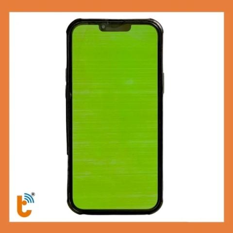 Khắc phục lỗi iPhone 13 | 13 Pro | 13 Pro Max xanh màn hình