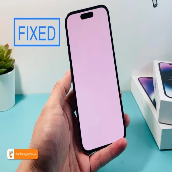 Ảnh minh họa Khắc phục lỗi màn hình trắng iPhone 14 | 14 Plus | 14 Pro | 14 Pro Max 1