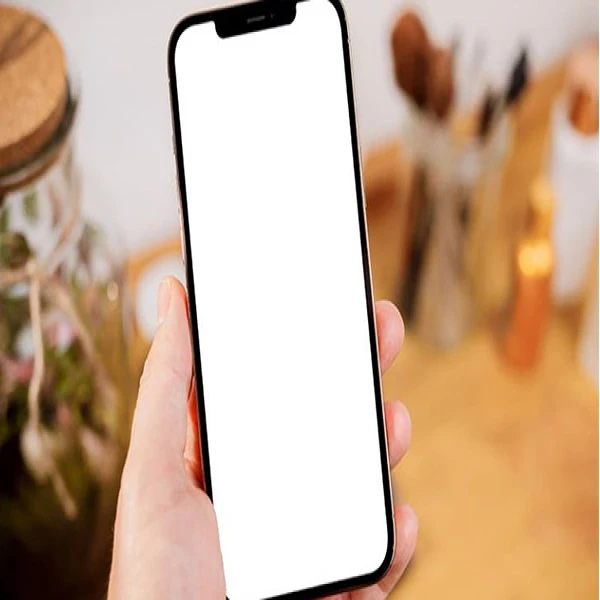 Ảnh minh họa Khắc phục lỗi màn hình trắng iPhone X | XR | XS | XS Max 1