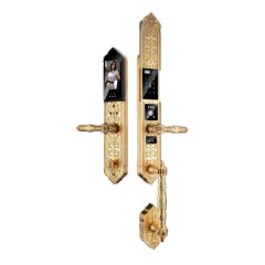  Khoá cửa tân cổ thông minh Avolock AC-999F-G Face ID 