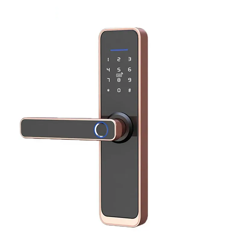 Ảnh minh họa Khóa cửa vân tay Tuya Smart Life WS03 1