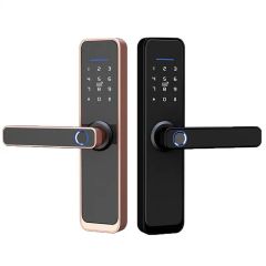  Khóa cửa vân tay Tuya Smart Life WS03 