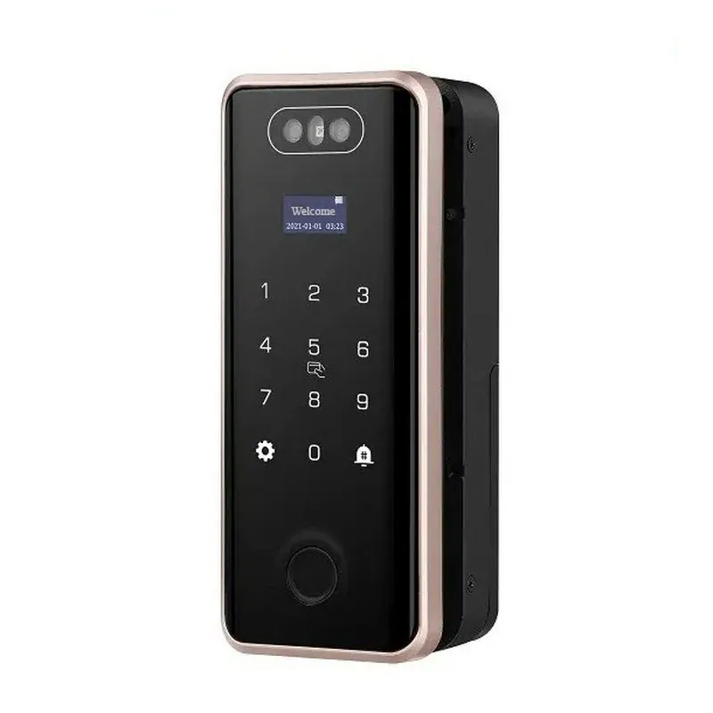 Ảnh minh họa Khóa FaceID cho cửa kính Tuya Smart Life GL08F 1