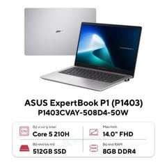  Laptop ASUS ExpertBook P1 P1403CVAY-508D4-50W 