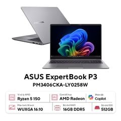  Laptop ASUS ExpertBook P3 PM3406CKA-LY0258W 