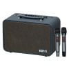 Loa Acnos CS160Pro (400W, Bluetooth 5.0, Kèm 2 tay micro)