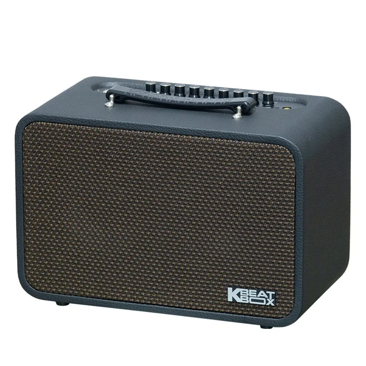 Ảnh minh họa Loa Acnos CS160Pro (400W, Bluetooth 5.0, Kèm 2 tay micro) 3
