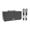 Loa Acnos CS366 Plus | Loa karaoke Xách Tay 150W, Kèm 2 Micro