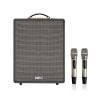 Loa Acnos CS552 Plus (4 bass 20cm, 300W, Kèm 2 micro UHF)