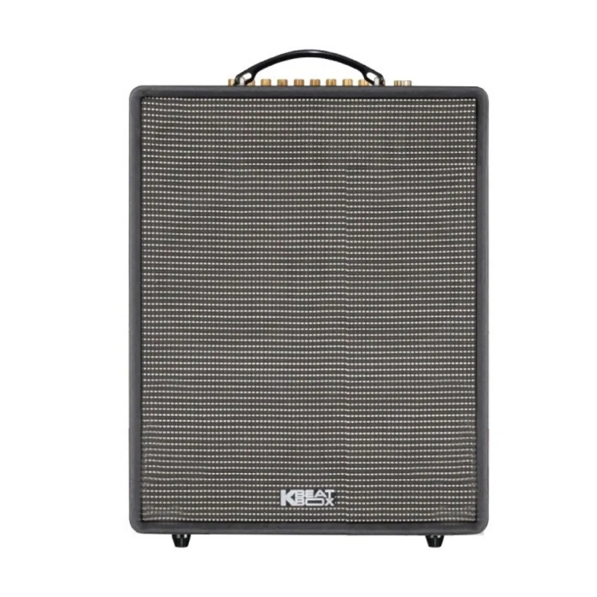 Ảnh minh họa Loa Acnos CS552 Plus (4 bass 20cm, 300W, Kèm 2 micro UHF) 2