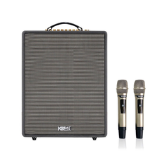 Loa Acnos CS552 Plus (4 bass 20cm, 300W, Kèm 2 micro UHF) 