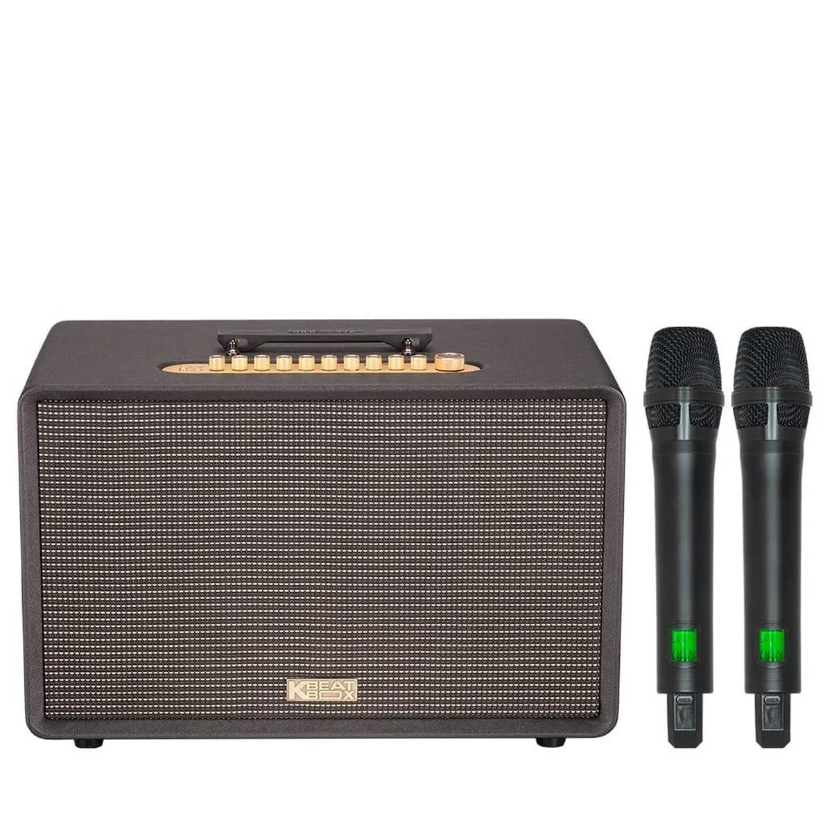 Ảnh minh họa Loa Acnos FLAC 39 (500W, Bluetooth 5.0, Kèm 2 tay micro) 3