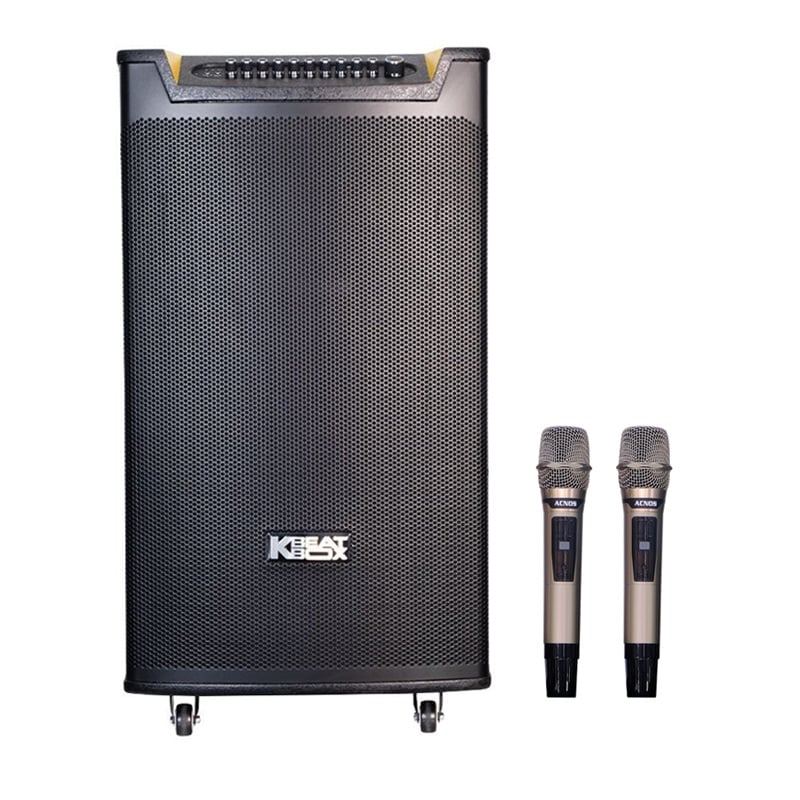 Ảnh minh họa Loa Acnos TOP 430, Bass 40cm, Công Suất 300W, Bluetooth, 2 Tay Micro 1