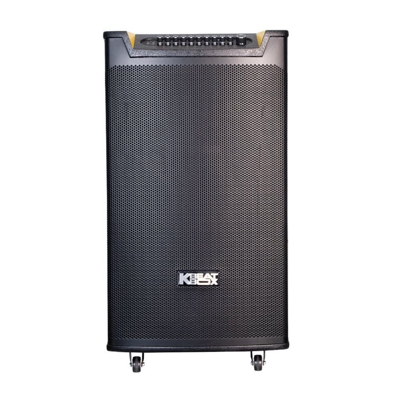 Ảnh minh họa Loa Acnos TOP 430, Bass 40cm, Công Suất 300W, Bluetooth, 2 Tay Micro 2