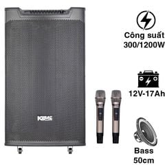  Loa Acnos Top 530, Bass 50cm, Công Suất 300W, Bluetooth, 2 Tay Micro 