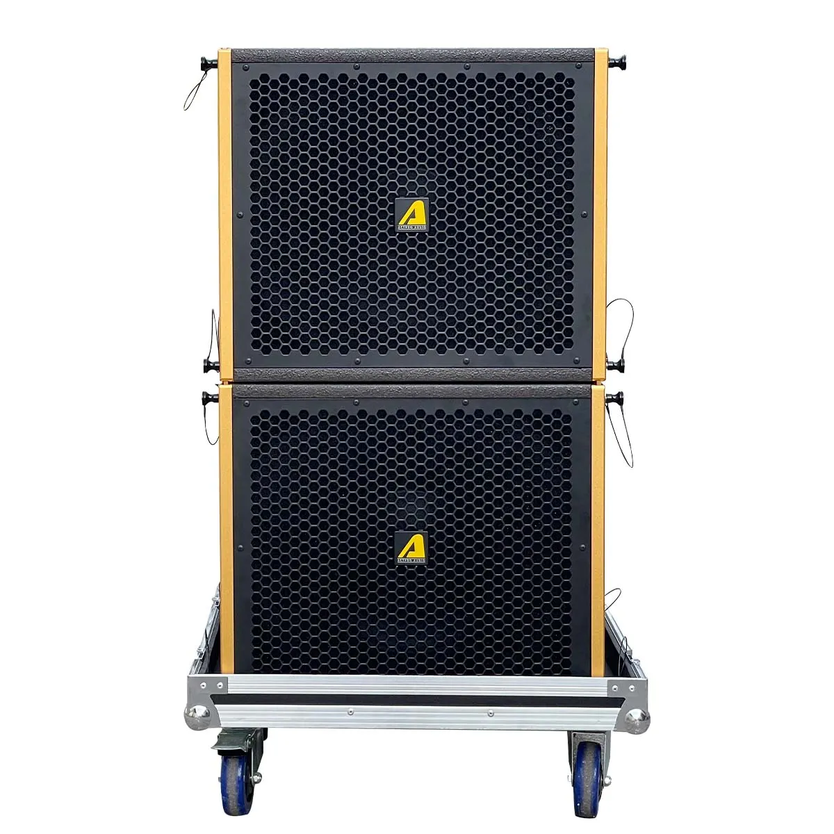 Ảnh minh họa Loa Array Midlow Actpro SA-15SN (Bass 40, 500W/2000W) 2