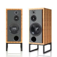  Loa ATC SCM 100PSLT (Bookshelf) 