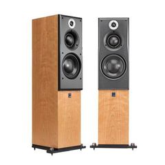  Loa ATC SCM 40 