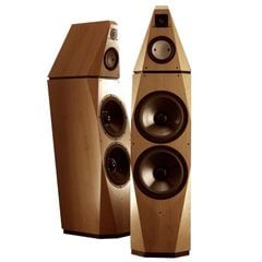  Loa Avalon Isis (Độ nhạy 90dB, Tần số 20Hz-50KHz) 