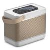 Loa B&O Beolit 20 (70W, Pin 8h, Sạc không dây)