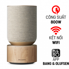  Loa B&O Beosound Balance (850W) 