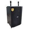 Loa BEST B50 (Bass 18 Inch, 2 Micro Không Dây)