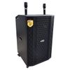 Loa BEST B50 (Bass 18 Inch, 2 Micro Không Dây)