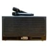 Loa Best S16 Pro (Bass đôi 16.5cm, 400W, Kèm 2 micro)