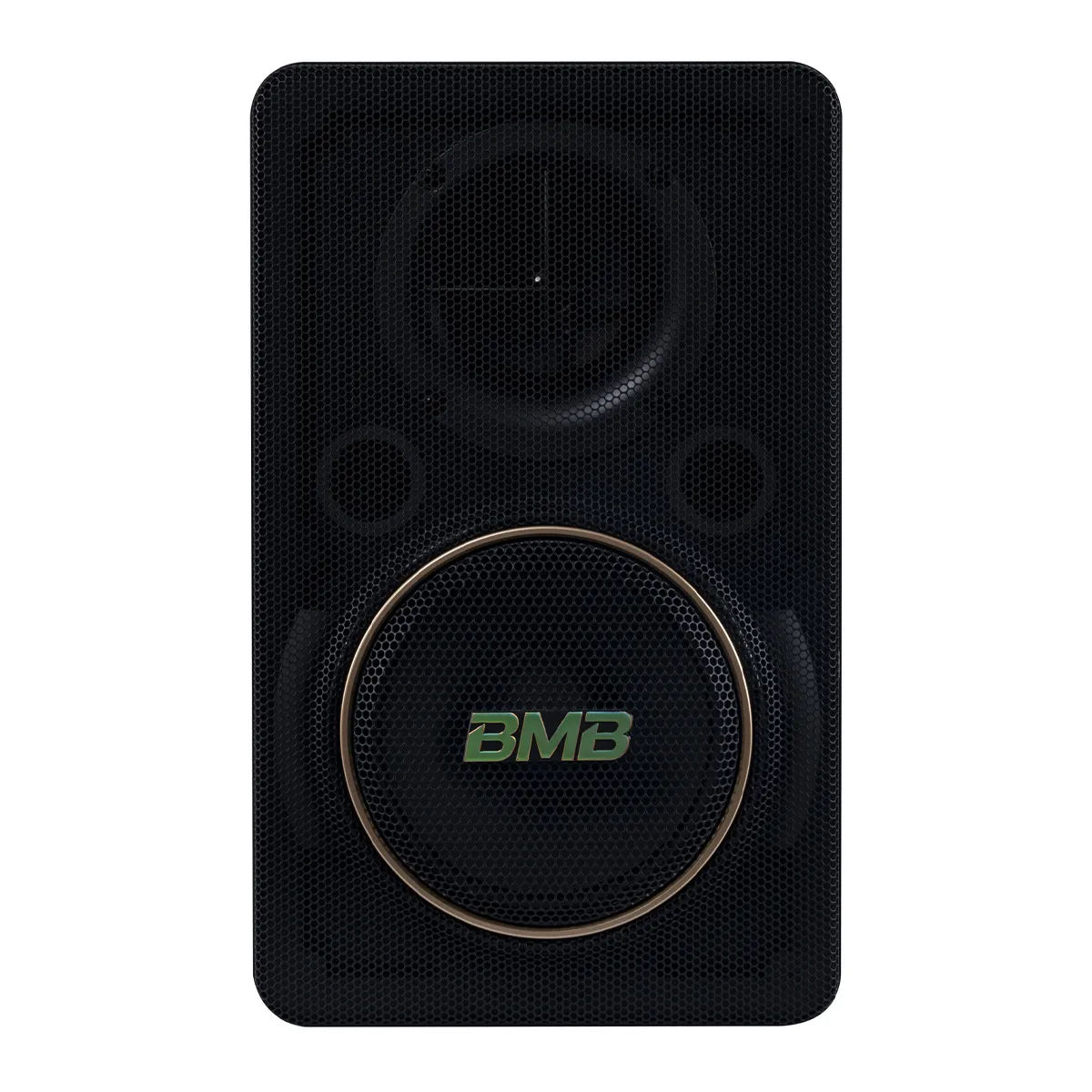 Ảnh minh họa Loa BMB CSJ-06 SE (bass 15cm) 2