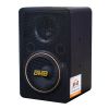 Loa BMB CSJ-06 SE (bass 15cm)