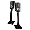 Loa Bookshelf Raidho Acoustics XT-1 (Black Piano)