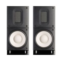  Loa Bookshelf Raidho XT1 (Độ nhạy 85dB, Tần số 80Hz-50KHz) 