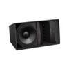 Loa Bose Arenamatch AM20/100