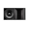 Loa Bose Arenamatch AM20/100