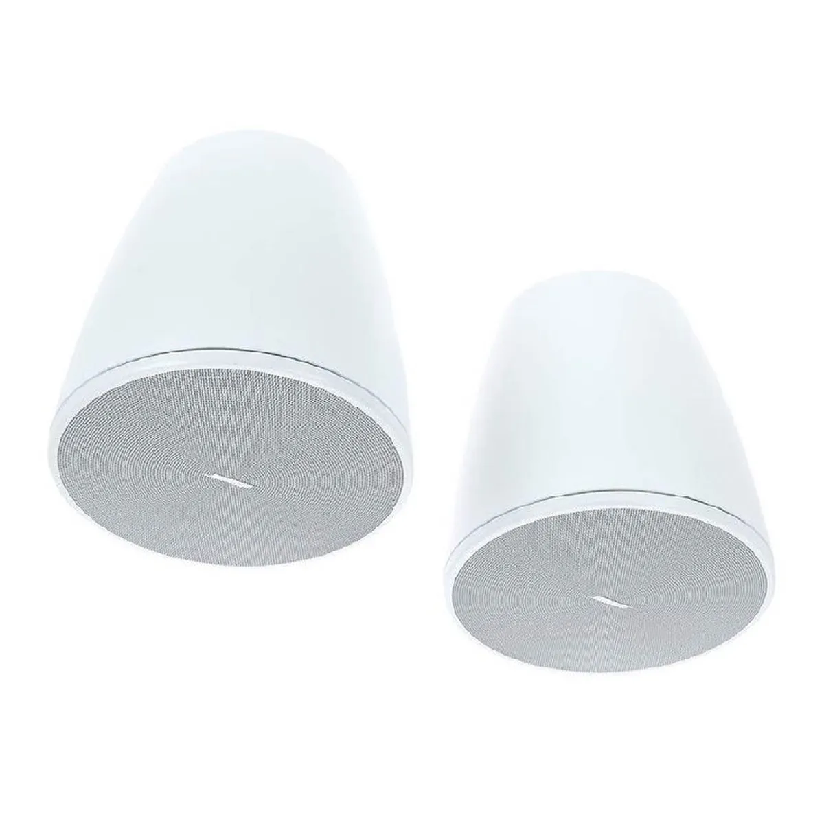 Ảnh minh họa Loa Bose Design Max DM5P (âm trần) 3