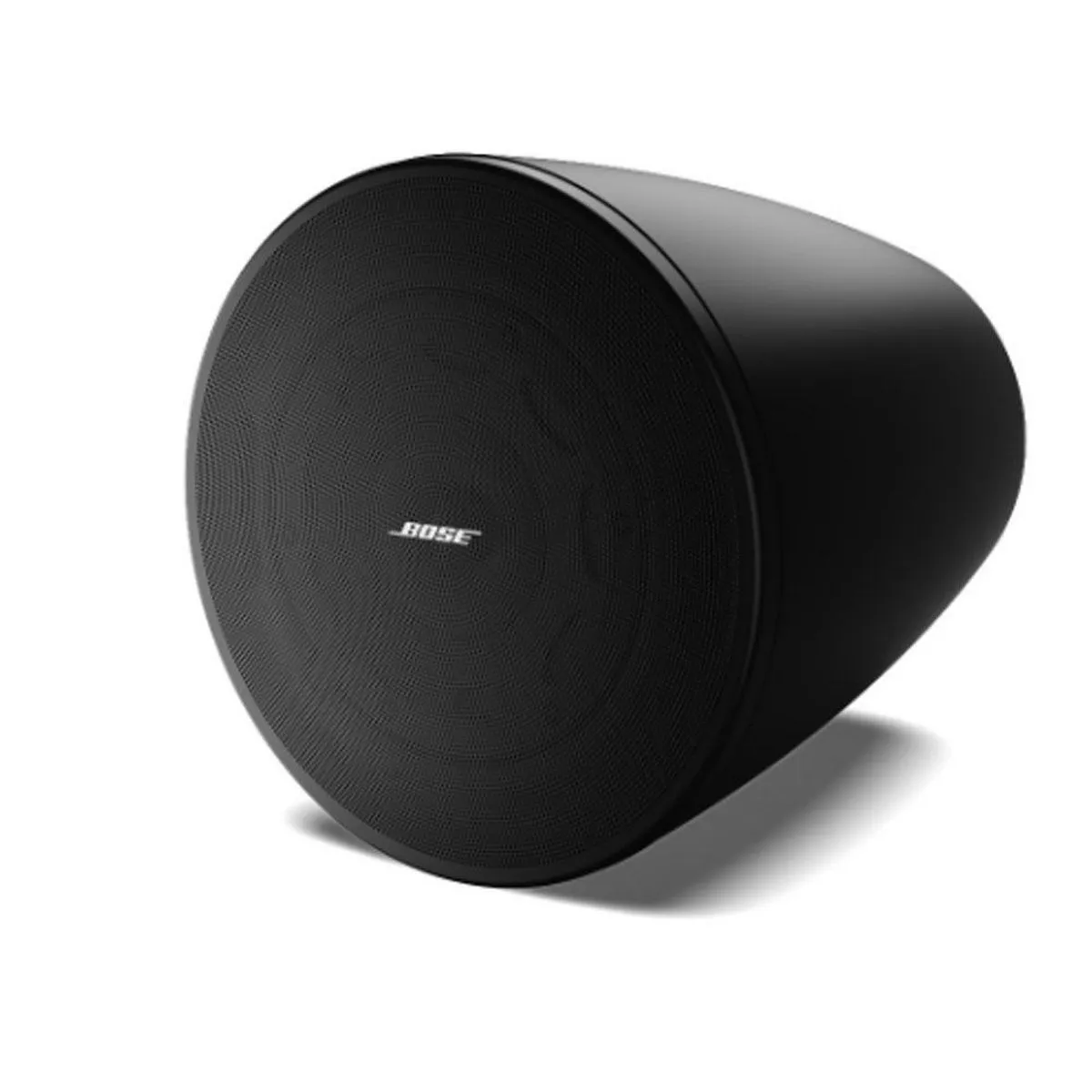 Ảnh minh họa Loa Bose DesignMax DM6PE (Treo Trần) 3