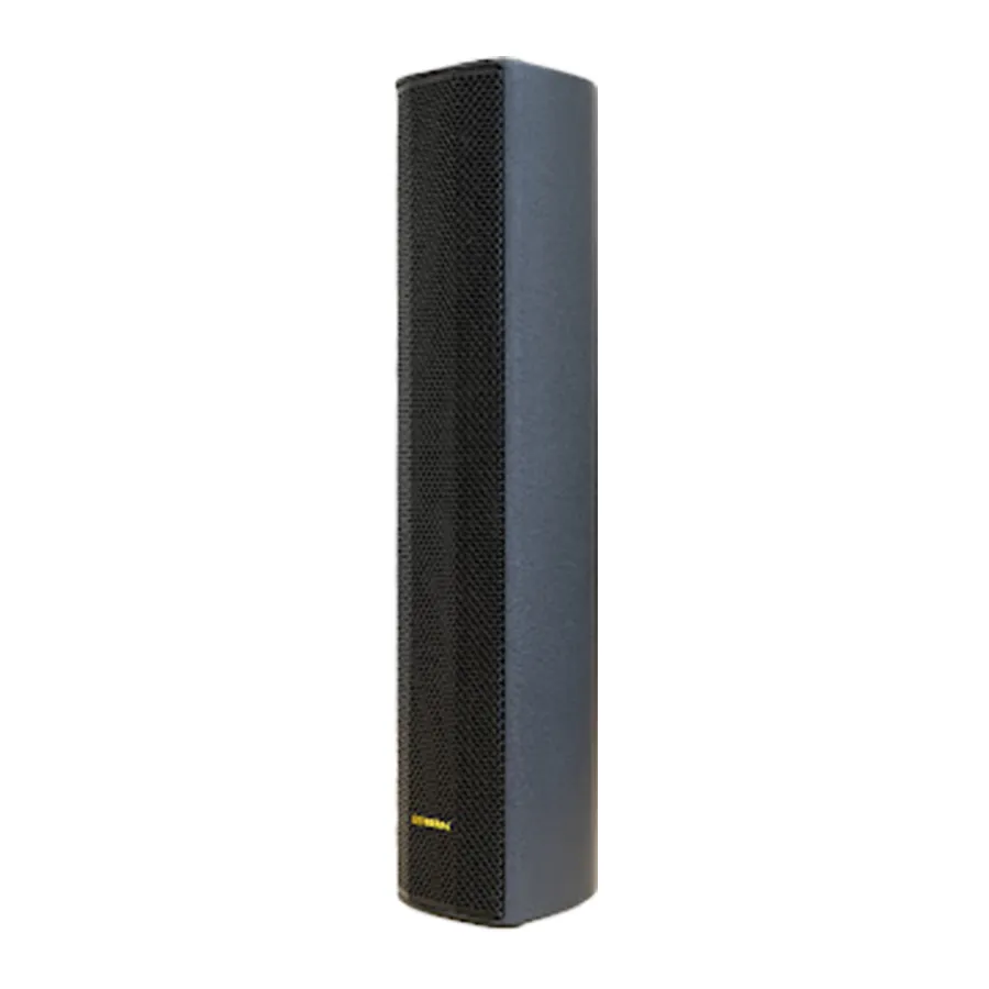 Ảnh minh họa Loa cột treo tường BIK MS-C505 2