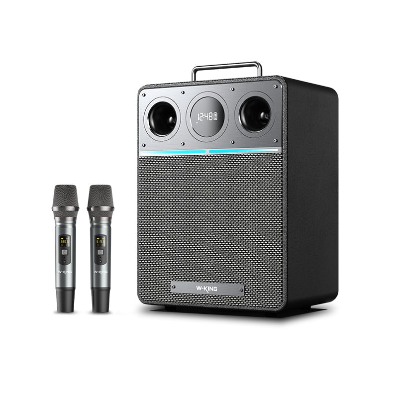 Loa di động W-King T6 – Công suất 110W, Kèm 2 micro