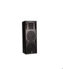 Loa Eric Dx-215