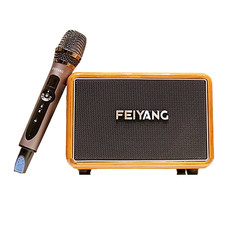 Loa Feiyang QX0602 | Loa karaoke xách tay mini (40W) 1 Micro