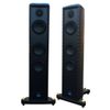 Loa Floorstand Gauder Akustik Darc 100