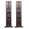 Loa Floorstand Gauder Akustik Darc 250 (Kèm chân đế Big Foot)