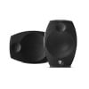 Ảnh minh họa Loa Focal Sib Evo Dolby Atmos 5.1.2 2