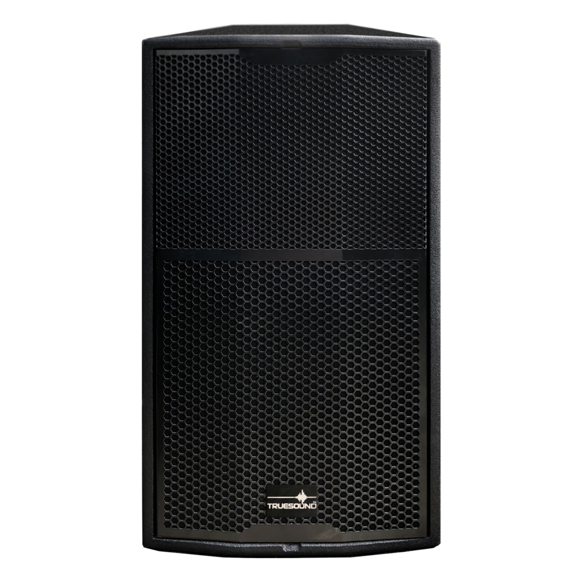 Ảnh minh họa Loa Full TRUESOUND CT12 Chính Hãng 1