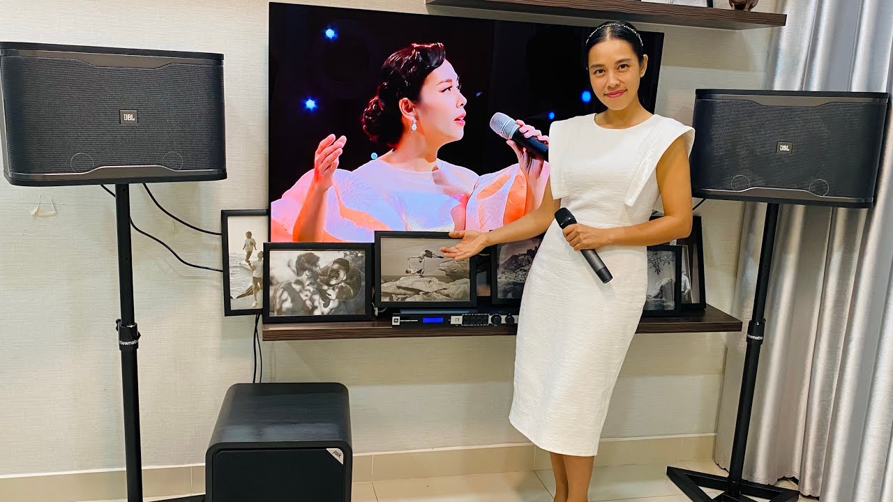 Ảnh minh họa Loa Karaoke Active JBL RM210 3
