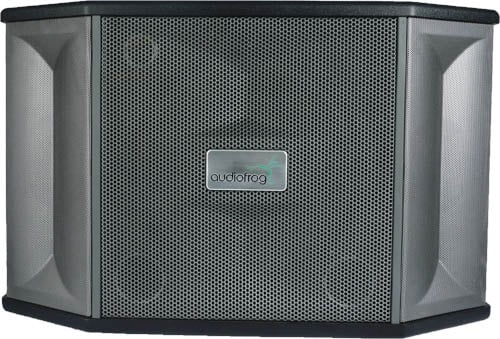 Ảnh minh họa Loa karaoke AUDIOFROG M10F 1