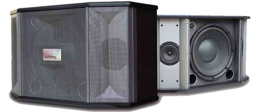 Loa karaoke AUDIOFROG M10F