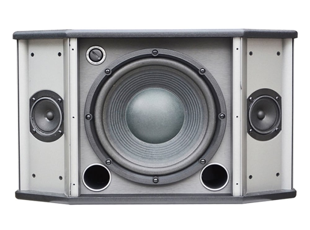 Ảnh minh họa Loa karaoke AUDIOFROG M12F 1